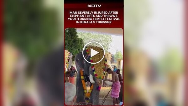 Слон на фестивалі в Індії підкинув чоловіка у повітря