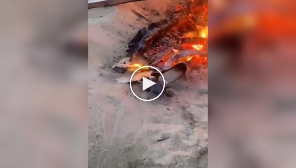 A crab walks along the beach and sees a fire burning