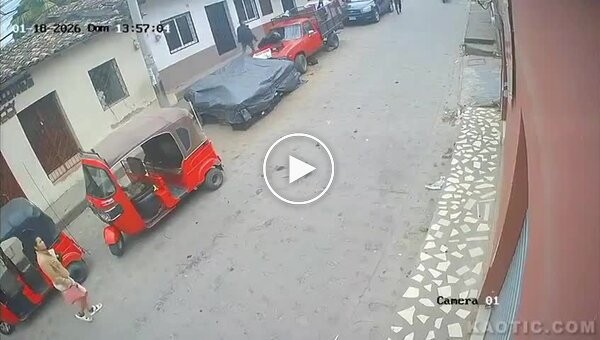 Кармагеддон из Гондураса