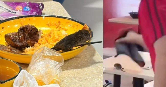 Крыса упала с потолка в тарелку к посетительнице кафе (2 фото + 1 видео)
