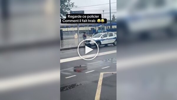 A woman tried to stab two police officers