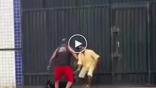 Драка хозяев и их питомцев