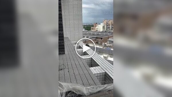 In China, a depressed rat publicly committed suicide