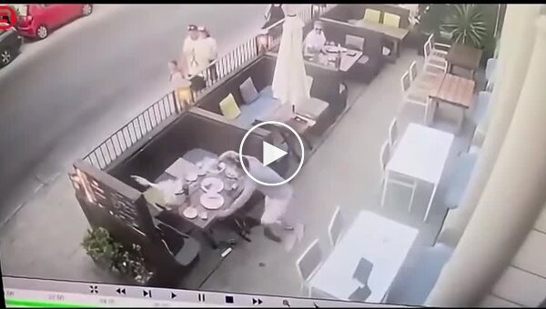 Чайка решила украсть еду не у того человека