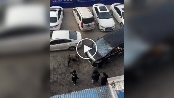 Китаец бился головой о машину до потери сознания