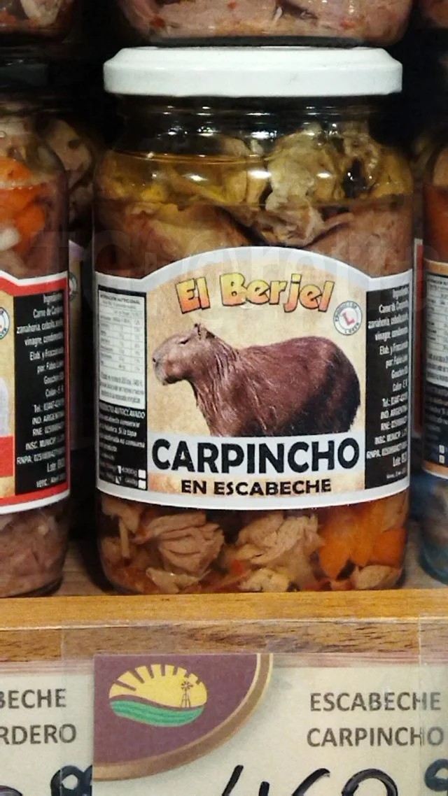 Capybaras are a delicacy in Latin America (3 photos)