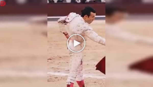 In Madrid, a matador received a severe blow from a bull