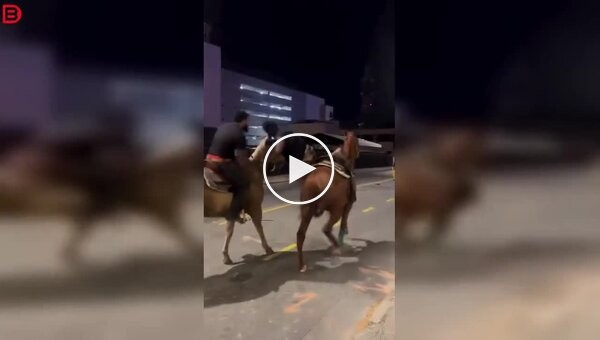 Лошадь сбежала после падения всадника и попала в ДТП