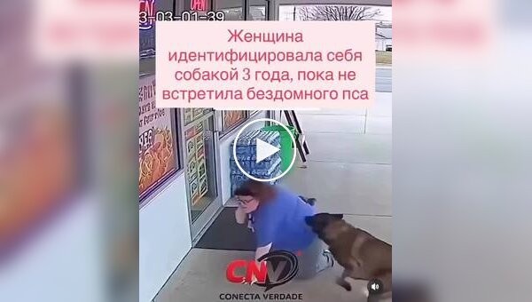На женщину, идентифицирующую себя как собаку, напал настоящий пес