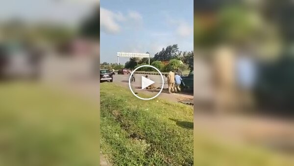 Леопард атаковал своего спасителя