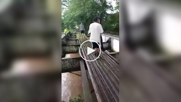 A bad man threw his dog off a bridge into a river