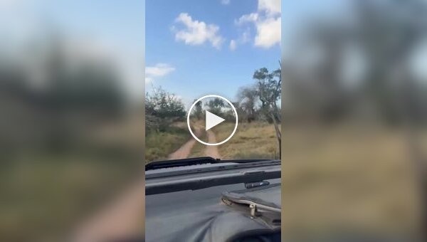 You can't slow down for even a second here