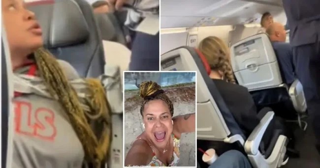 В США пассажирку  примотали к сиденью скотчем после того, как та напала  на стюардессу (5 фото + 1 видео)
