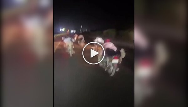 Сколько же их в одном месте собралось