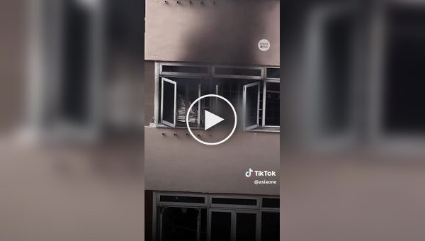 Супруги, погибшие при пожаре, попытались спасти хотя бы своих кошек