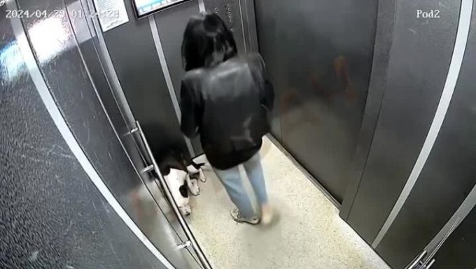 In Russia, a girl beat her dog in an elevator (2 photos + 1 video)