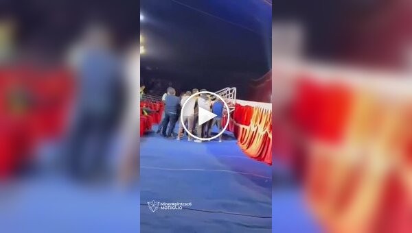 A failed circus stunt: men failed to catch the performer