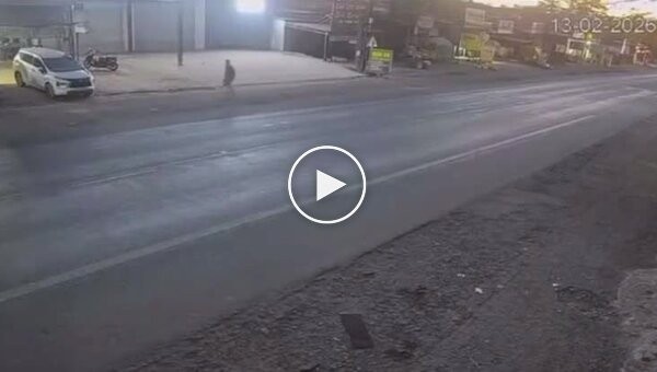 Ничто не предвещало беды