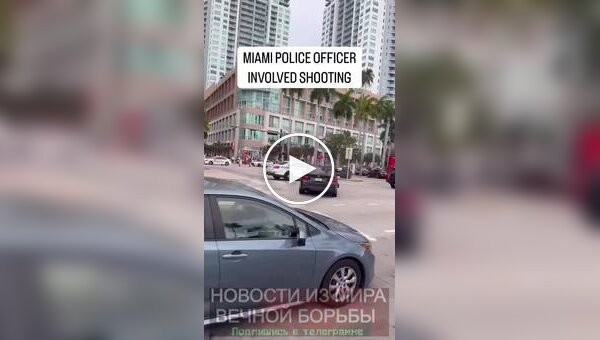 Хотел прокатить полицейского на капоте, но забыл, что находится в США