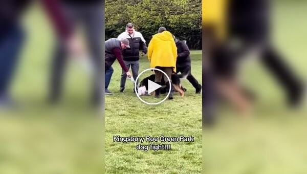Парень спас собаку с помощью пальца