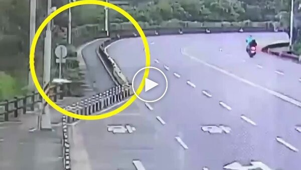 Обезьяна на скоростной автостраде устроила курьезное ДТП