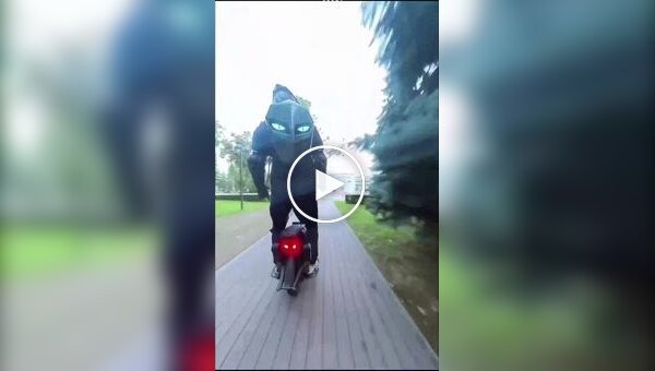Неожиданная встреча
