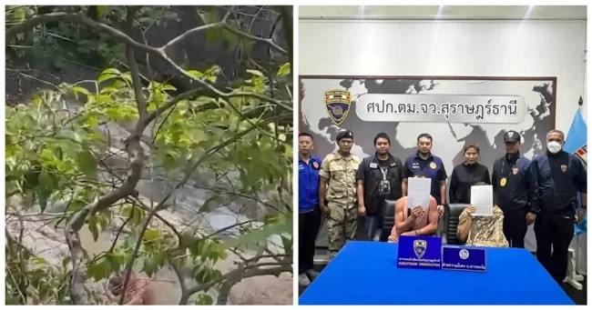 Пара занялась любовью на глазах у туристов в Таиланде (3 фото + 1 видео)