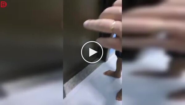 Священника в Бразилии застали с невестой прихожанина