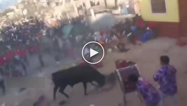 В Перу разъяренный бык сбежал во время корриды и устроил хаос в целом городе