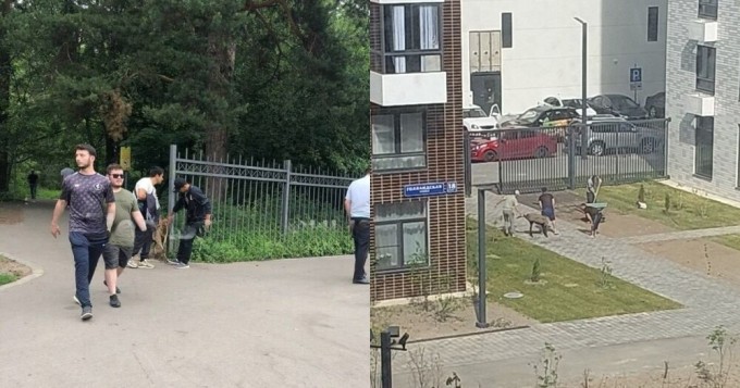 In the capital of Russia, Muslims were prevented from slaughtering sheep in the park and on the site in the residential complex (7 photos + 2 videos)