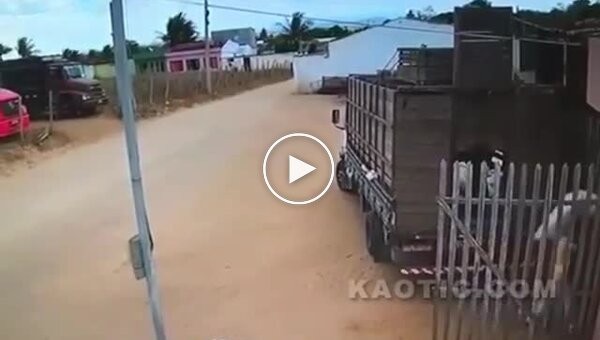 Грабители пожалели, что связались с фермером