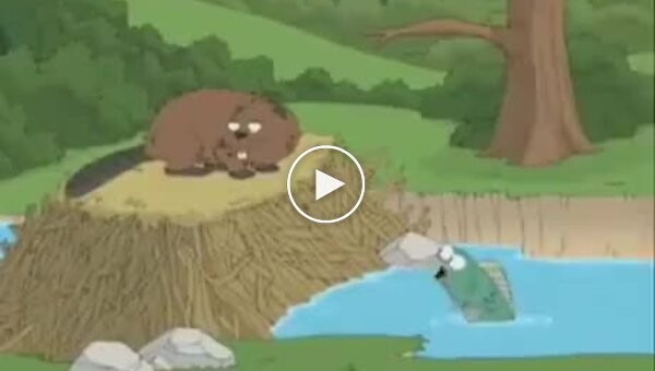 Reaction to a beaver in a cartoon - in Polish