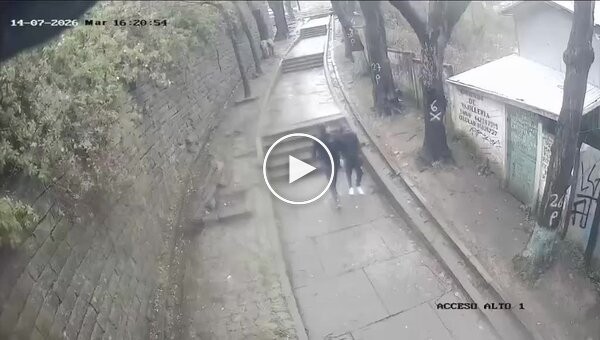 A huge tree branch fell on a guy during a walk
