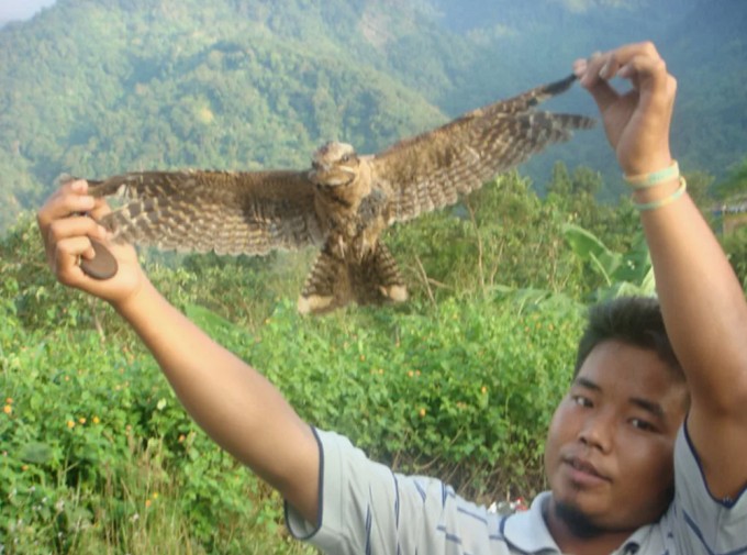 Mysterious bird suicides in an Indian village (6 photos)