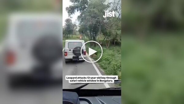 Леопард ранил мальчика в Индии