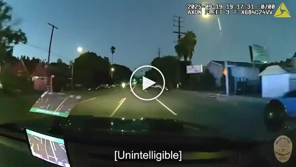 Полиция насмерть сбила катившего посреди дороги скейтбордиста