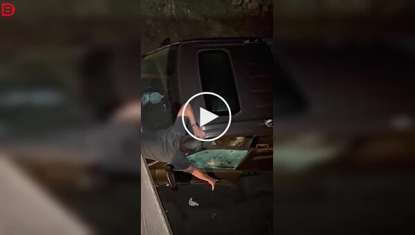 Медведь залез в машину за едой и укусил мужчину