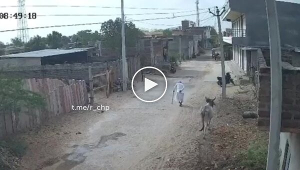 The last walk of an Indian pensioner