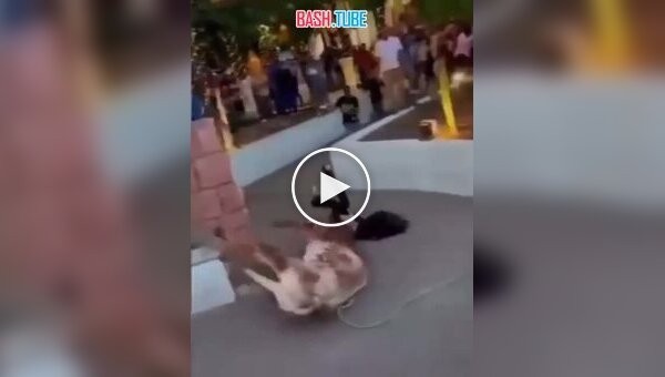 В Мексике бык набросился на девушку во время корриды