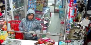 Дивакуватий чилійський грабіжник