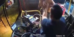 Зухвалий напад на водія автобуса
