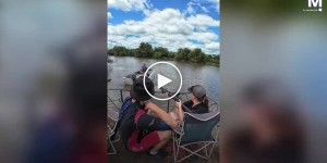 Разъяренный бегемот перевернул лодку с защитником животных в ЮАР
