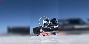 Дівчина зламала ногу, зістрибнувши зі снігоприбиральної машини