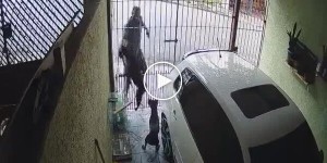 В Бразилии мужчину укусила сторожевая собака при попытке кражи