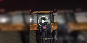 Когда сельская идиллия прерывается неожиданным событием