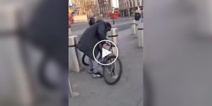 В Лондоне мигрант решил угнать велосипед, но в спину прилетел удар от хозяина