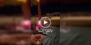 Romantic dinner on safari: a zebra added "energy" to the atmosphere