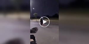 Это шедевр. Что же им не живется спокойно