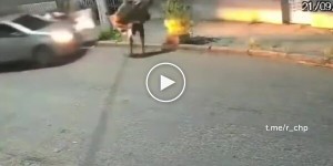 Одно неудачное ограбление в Бразилии