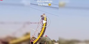 A fair ride broke down: 14 schoolchildren were injured.